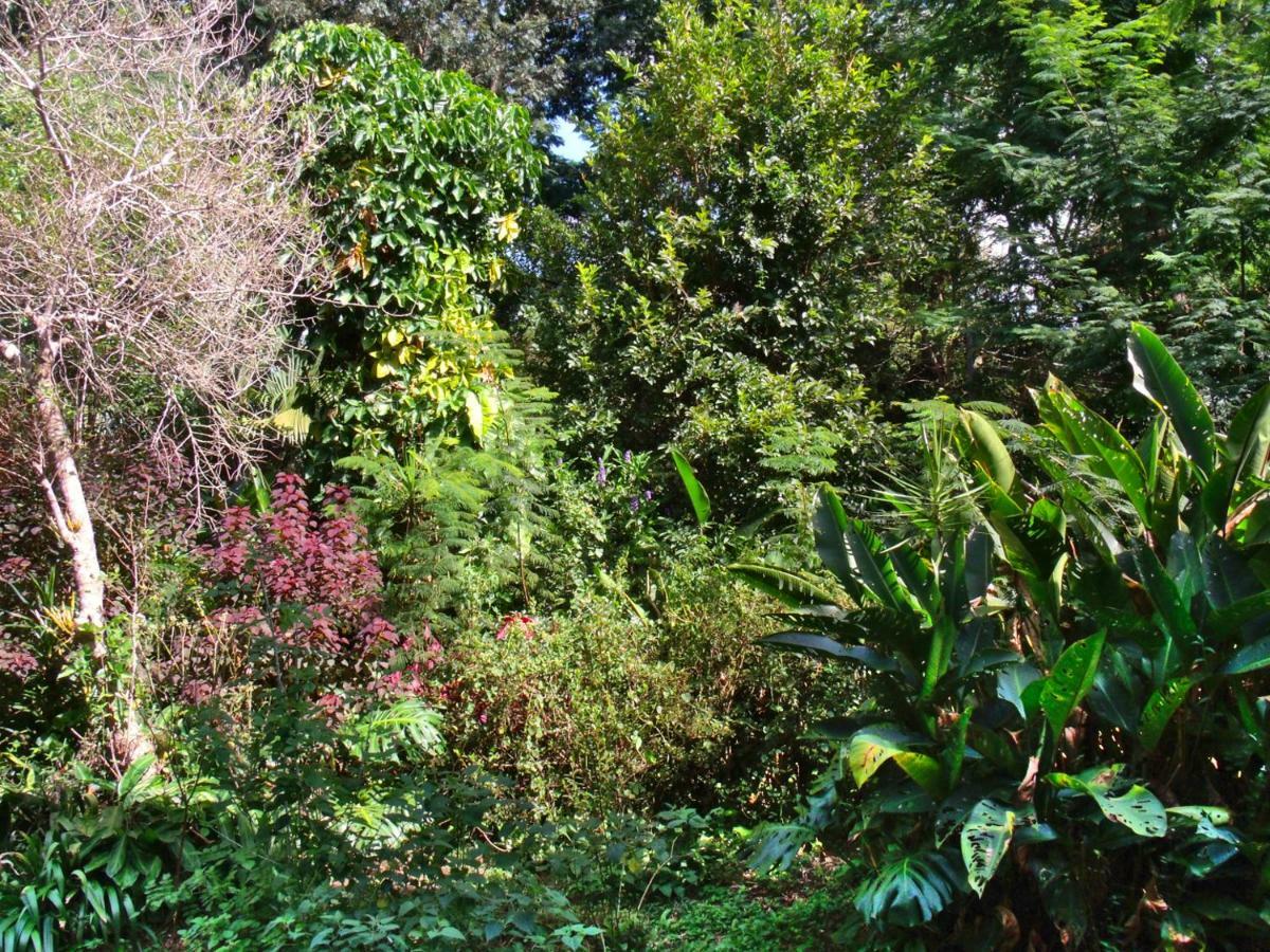 Hotel Curitiba Campo Comprido Exterior foto